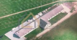 Földszintes épület, mely logisztikai központra alkalmas épület eladó (Beschreibung auf deutsch verfügbar)